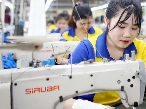 Tin vui “đặc biệt”: Doanh nghiệp SME được miễn thuế thu nhập trong 3 năm, startup đổi mới sáng tạo nhận “mưa” ưu đãi thuế