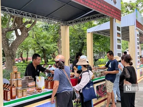 Sản vật đặc trưng của Lâm Đồng “đổ bộ” Thủ đô