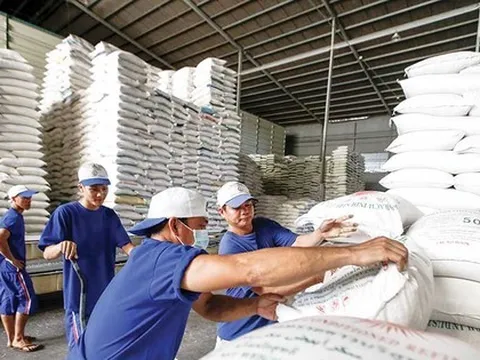 Đề xuất quy định mới về kinh doanh xuất khẩu gạo