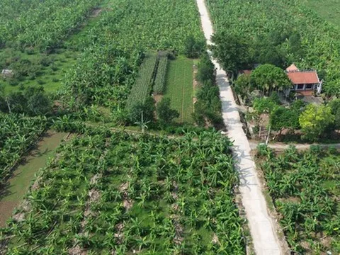 Hà Nội: Rút gọn quy trình về đất đai và không thu phí để xóa nhà tạm, nhà dột nát