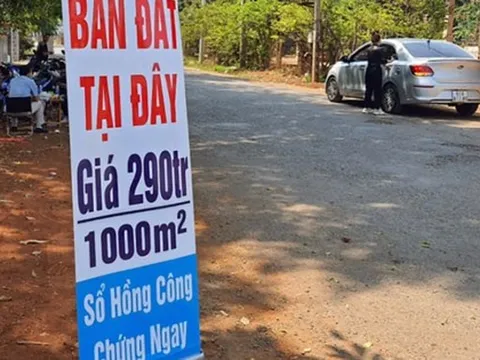 “Cơn sốt” đất nền đổ bộ Hải Phòng, Hưng Yên: Chuyện gì đang xảy ra?