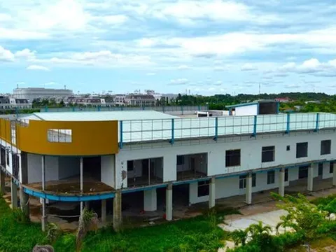 Thu hồi 2ha 'đất vàng' bỏ hoang nhiều năm ở Cà Mau