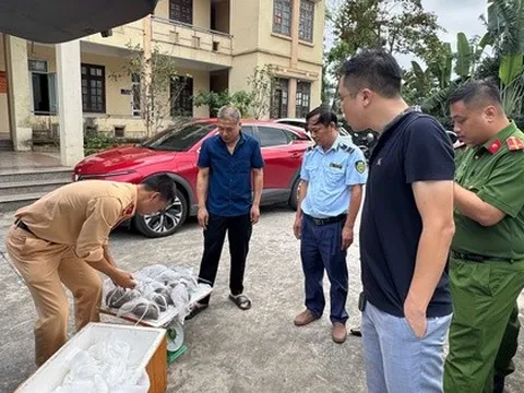 Nóng tại Quảng Ninh: Phát hiện một hộ kinh doanh có hơn 2.000 kg thực phẩm không rõ nguồn gốc, hộ khác có 5,6 triệu con ngao hoa giống không rõ xuất xứ