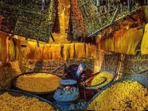 Mỹ vừa chi hơn 5 tỷ USD mua ‘mỏ vàng’ đứng thứ 2 thế giới của Việt Nam: Đã xuất khẩu đến hơn 100 thị trường, Hàn Quốc, Nhật Bản cũng là ‘khách ruột’