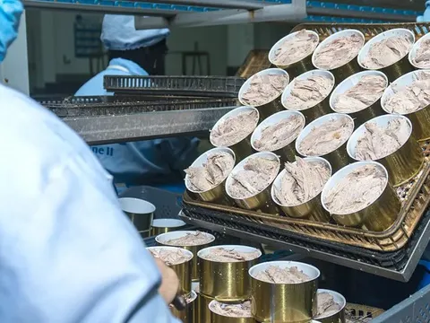Giá siêu thực phẩm 'ngon bổ rẻ' của Việt Nam bất ngờ chạm đáy 2 năm - Đơn hàng từ Mỹ và EU đều chững lại