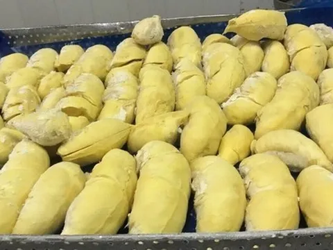 Sau 2 ngày thương thảo, sầu riêng đông lạnh Việt Nam thẳng tiến Trung Quốc