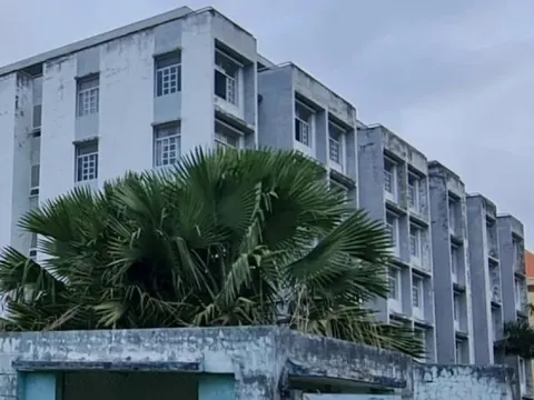 Bạc Liêu: Sẽ chuyển đổi công năng 2 tòa nhà sinh viên thành nhà ở xã hội