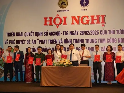 THACO nhận thêm nhiệm vụ mới: Khảo sát vùng trồng và lập dự án sản xuất, chế biến Sâm Ngọc Linh tại Quảng Nam