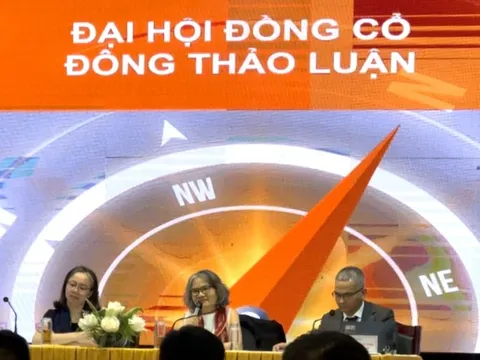 Chủ tịch VNDirect nói về việc cạnh tranh với đối thủ thuộc hệ sinh thái ngân hàng