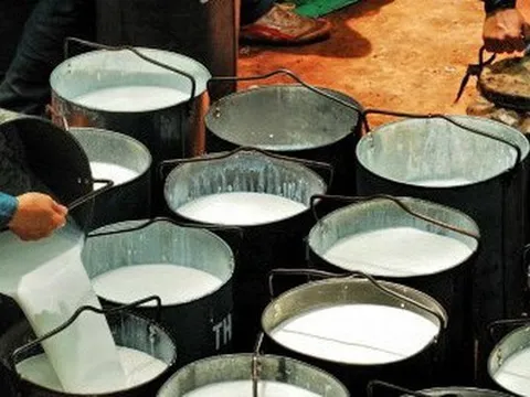 Hàng nghìn tấn 'vàng trắng' của Việt Nam đổ bộ Mỹ với giá đắt đỏ, thuế nhập khẩu 7%