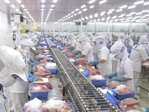 Việt Nam vừa thu 28 tỷ USD nông sản, khách nào 'sộp' nhất?
