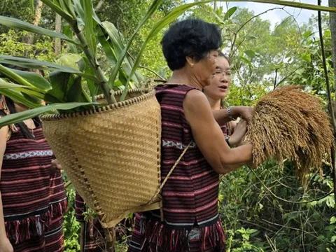 Công bố thêm 11 di sản văn hóa phi vật thể Quốc gia