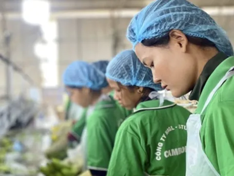 Lời than của bầu Đức "Tìm sếp nông trường còn khó hơn sếp ngân hàng" hé lộ cơn khát nhân tài nông nghiệp