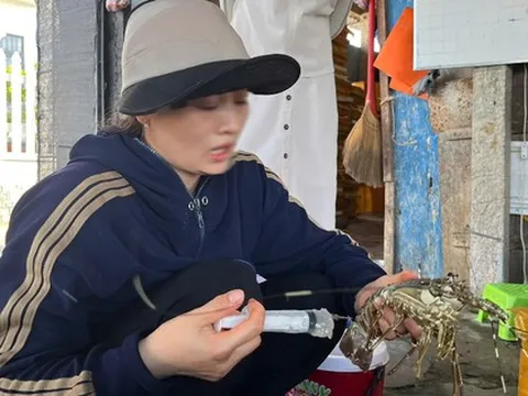 "Hô biến" tôm hùm chết thành tôm tươi lừa người tiêu dùng