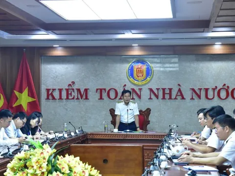 Kiểm toán 3 đơn vị trọng yếu liên quan phát triển KCN ở Đồng Nai