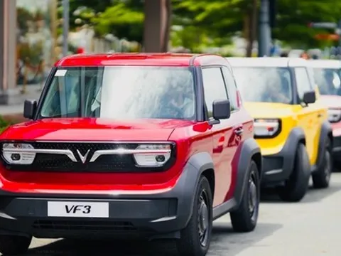 VinFast VF 3, VF5 đứng top đầu thị trường - có phải đã đánh trúng 'gu' của khách Việt?