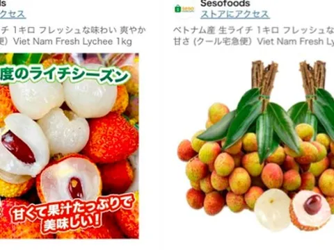 Giá vải thiều Việt Nam bán trên Amazon Nhật Bản giá nửa triệu đồng/kg