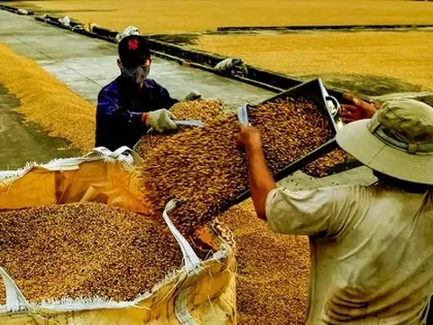 Nỗi lo siêu thị, chợ mạng