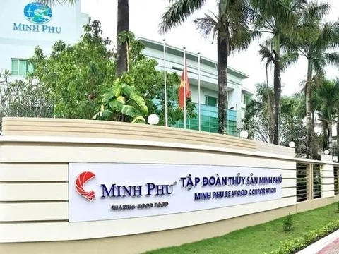 Vua tôm Minh Phú "hì hục" bán lỗ để giải quyết 20.000 tấn hàng tồn kho từ Covid