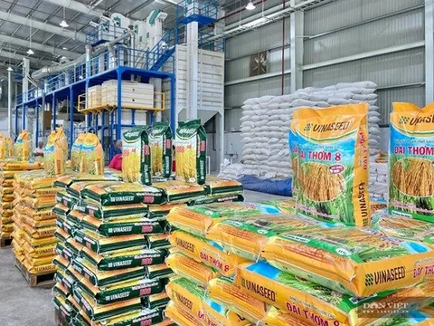 Lãnh đạo cấp cao Vinaseed xin nghỉ hưu trước tuổi