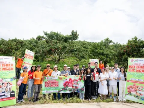 54 tấn vải Lục Ngạn bán hết veo sau phiên live 6 tiếng, PCT Bắc Giang nêu rõ 3 từ "đạt chuẩn sang Mỹ"