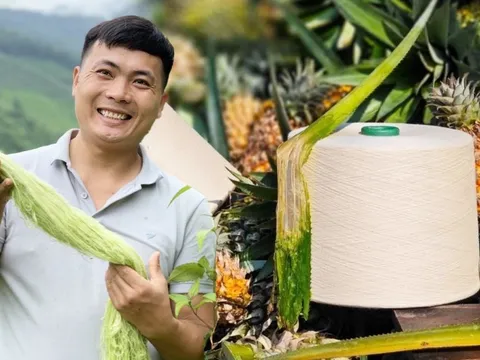 DN thu tiền khủng từ 1 loại lá: TQ không có nguyên liệu để làm, VN có hàng triệu tấn, phần lớn bị đốt bỏ