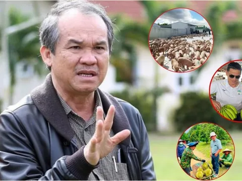 Bầu Đức “nói không” với bất động sản ngàn tỷ, chọn nuôi heo và 2 loại cây này để trả sạch nợ