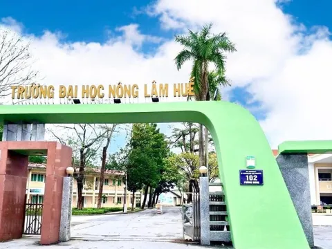 Đại học Nông Lâm Huế tuyển sinh năm 2025 với 2 ngành "hot" đón đầu xu hướng