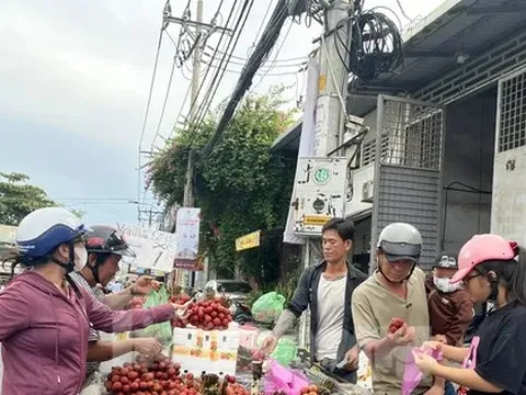 Vải thiều đại hạ giá tại TPHCM