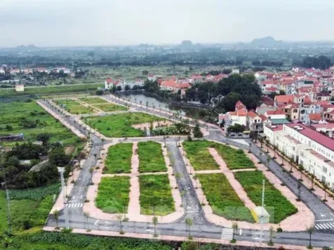 Hà Nội: Rầm rộ đấu giá đất rồi... bỏ hoang lãng phí