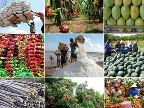 Xuất khẩu nông, lâm, thuỷ sản 6 tháng tăng 14%