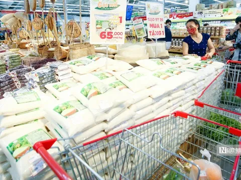 Lạm phát cơ bản 6 tháng đầu năm 2025 tăng 3,16%