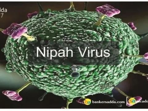 Virus Nipah mà 2 người ở Ấn Độ mắc phải nguy hiểm cỡ nào?