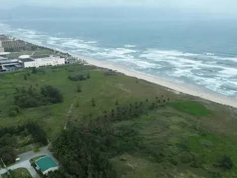 Thu hồi một phần dự án Hòn Ngọc Á Châu để làm công viên công cộng