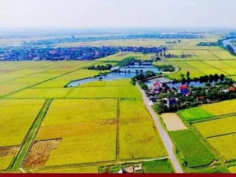 Chuyển đất nông nghiệp sang đất ở: Hoảng hốt tiền sử dụng đất cao đột biến