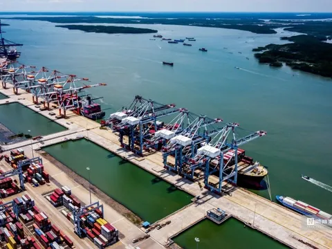 Logistics xanh là điểm tựa để doanh nghiệp vượt qua những "cú sốc" lớn
