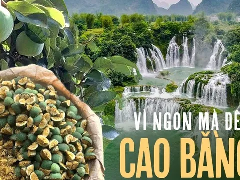 Thức quà mùa hè từ núi rừng chỉ có thể thưởng thức khi đến Cao Bằng