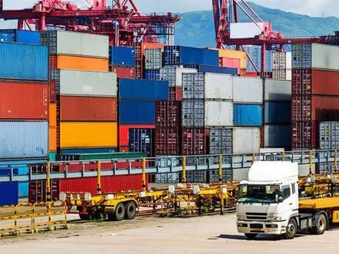 Cung cấp thông tin gây nhầm lẫn, công ty logistics bị phạt 200 triệu đồng