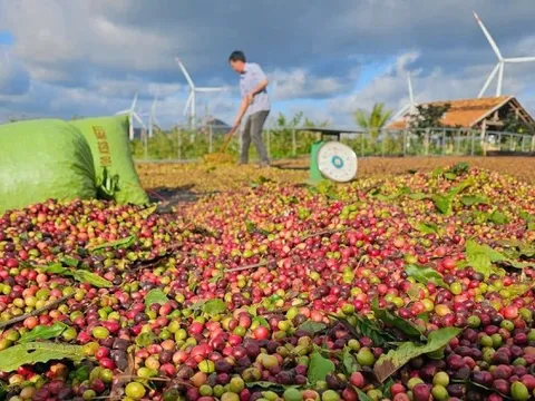Một doanh nghiệp nhận ký gửi nông sản bị tố chiếm đoạt số tiền 'khủng'