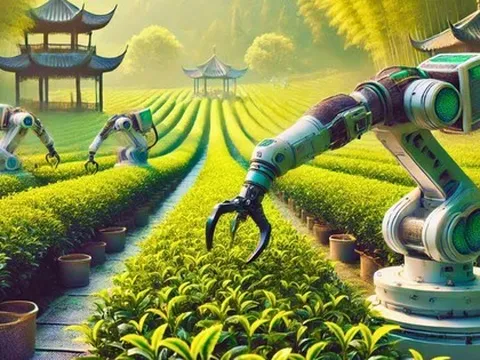 AI 'về làng' - chưa bao giờ việc bón phân, tưới nước ở thị trấn nhỏ này đơn giản như thế: Thời gian rút ngắn còn 1/10, tăng giá trị lại không thay thế con người