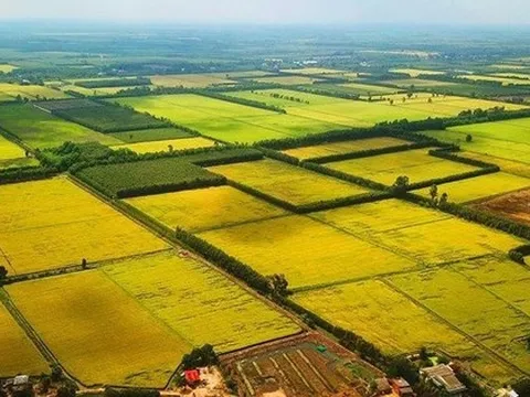 Đề xuất quy định hướng dẫn việc kéo dài thời hạn miễn thuế sử dụng đất nông nghiệp