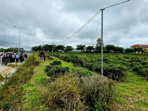 Lâm Đồng: Không để xảy ra lợi dụng chính sách bồi thường tại dự án đường cao tốc