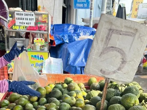 Trái cây 'đại hạ giá', có loại chỉ 5.000 đồng/kg ở TPHCM