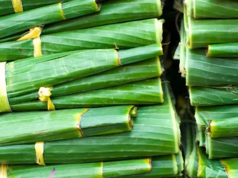 Loại lá người Việt dùng gói bánh, gói xôi "thăng hạng" thành mặt hàng triệu đô, xuất khẩu khắp Âu Á