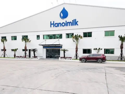 Chi phí lãi vay đè nặng lợi nhuận của Hanoimilk