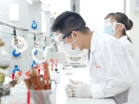 Chính sách học bổng cho người học các ngành khoa học cơ bản, công nghệ chiến lược