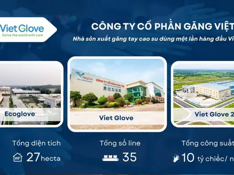 Găng Việt: Tiên phong dẫn lối phát triển ngành công nghiệp găng tay Việt