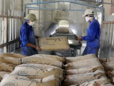 Xi măng và clinker của Việt Nam bị Đài Loan (Trung Quốc) áp thuế CBPG