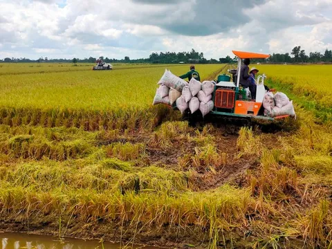 Mặt hàng kiếm 5,6 tỷ đô của Việt Nam có cách giảm mạnh phát thải, dân lãi đậm gần nửa lượng vàng/hecta