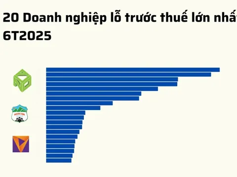 20 doanh nghiệp lỗ lớn nhất 6T2025: Novaland 'vô địch', bất động sản áp đảo, 8 doanh nghiệp lỗ trăm tỷ
